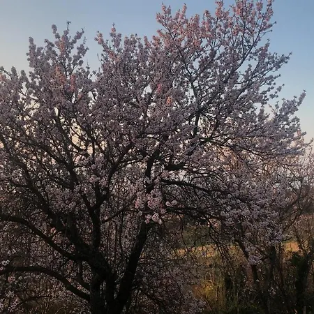 Panorama Balaton Villa Balatongyorok