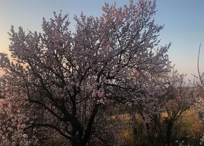 Panorama Balaton וילה Balatongyörök